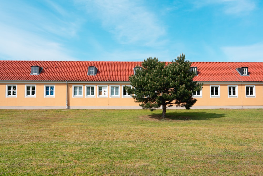 a tree in front of a building with a red roof