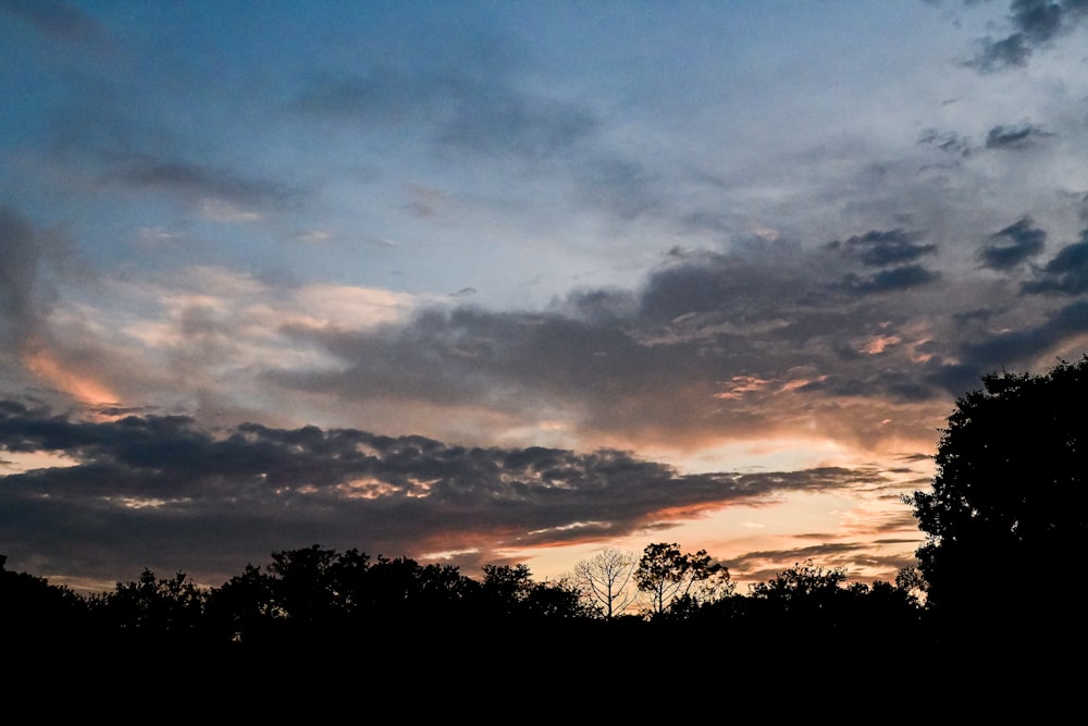 a plane flying through a cloudy sky with trees in the foreground