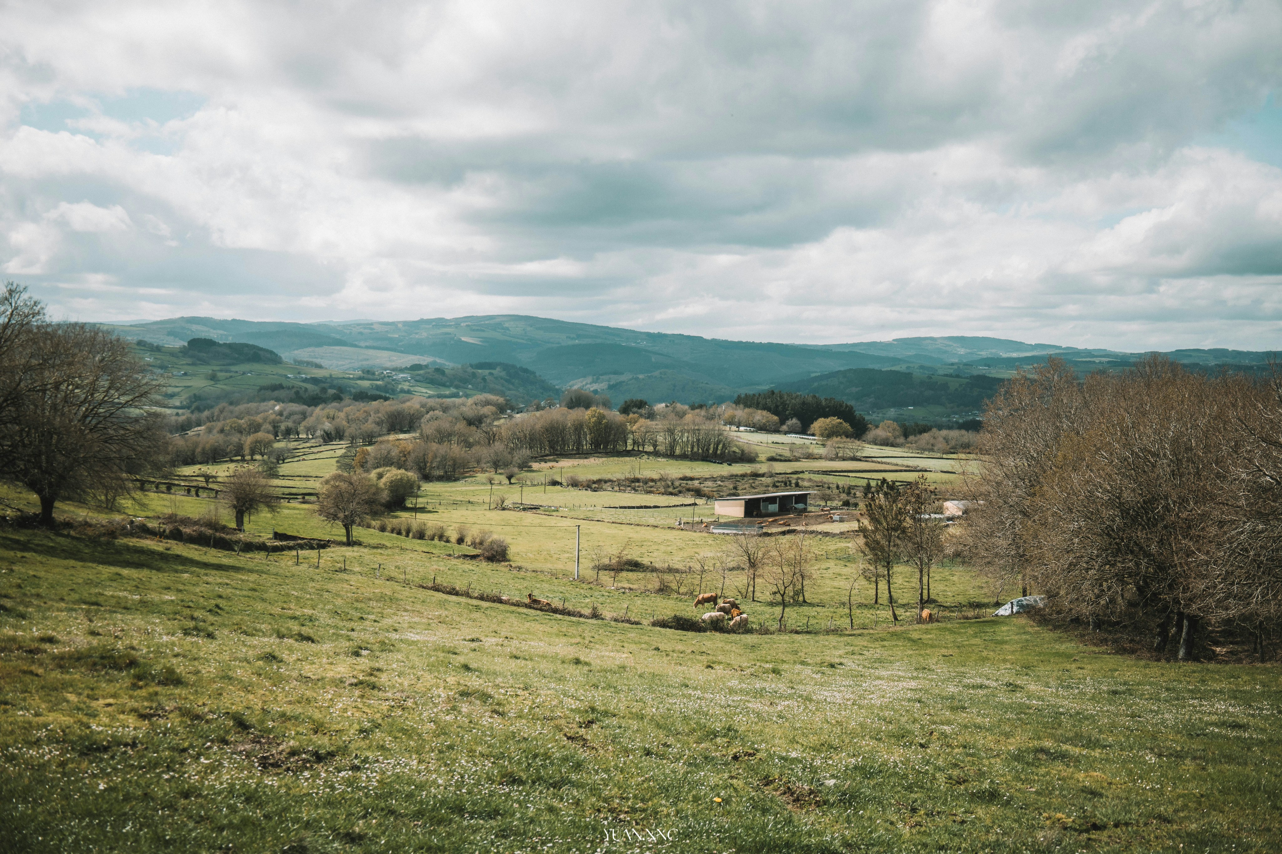 a grassy field with trees and mountains in the background