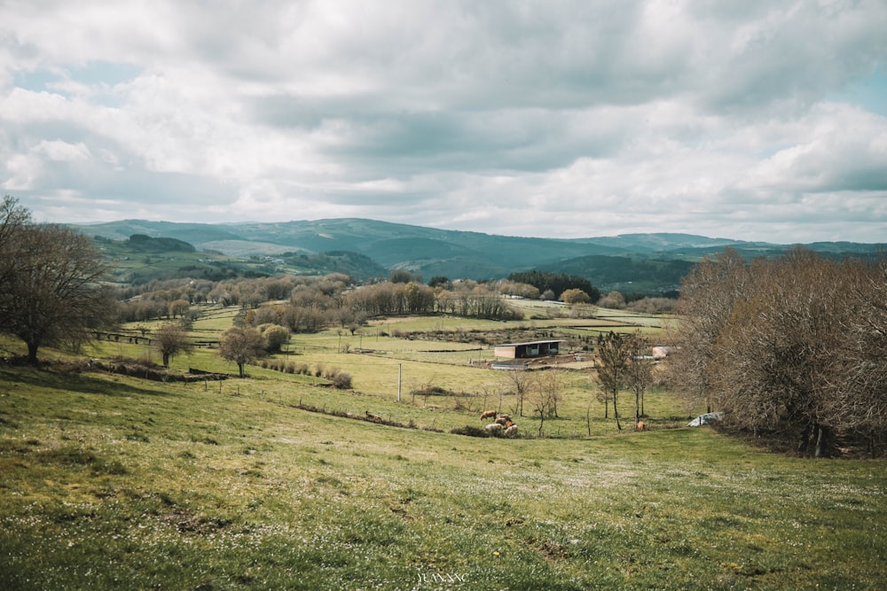 a grassy field with trees and mountains in the background