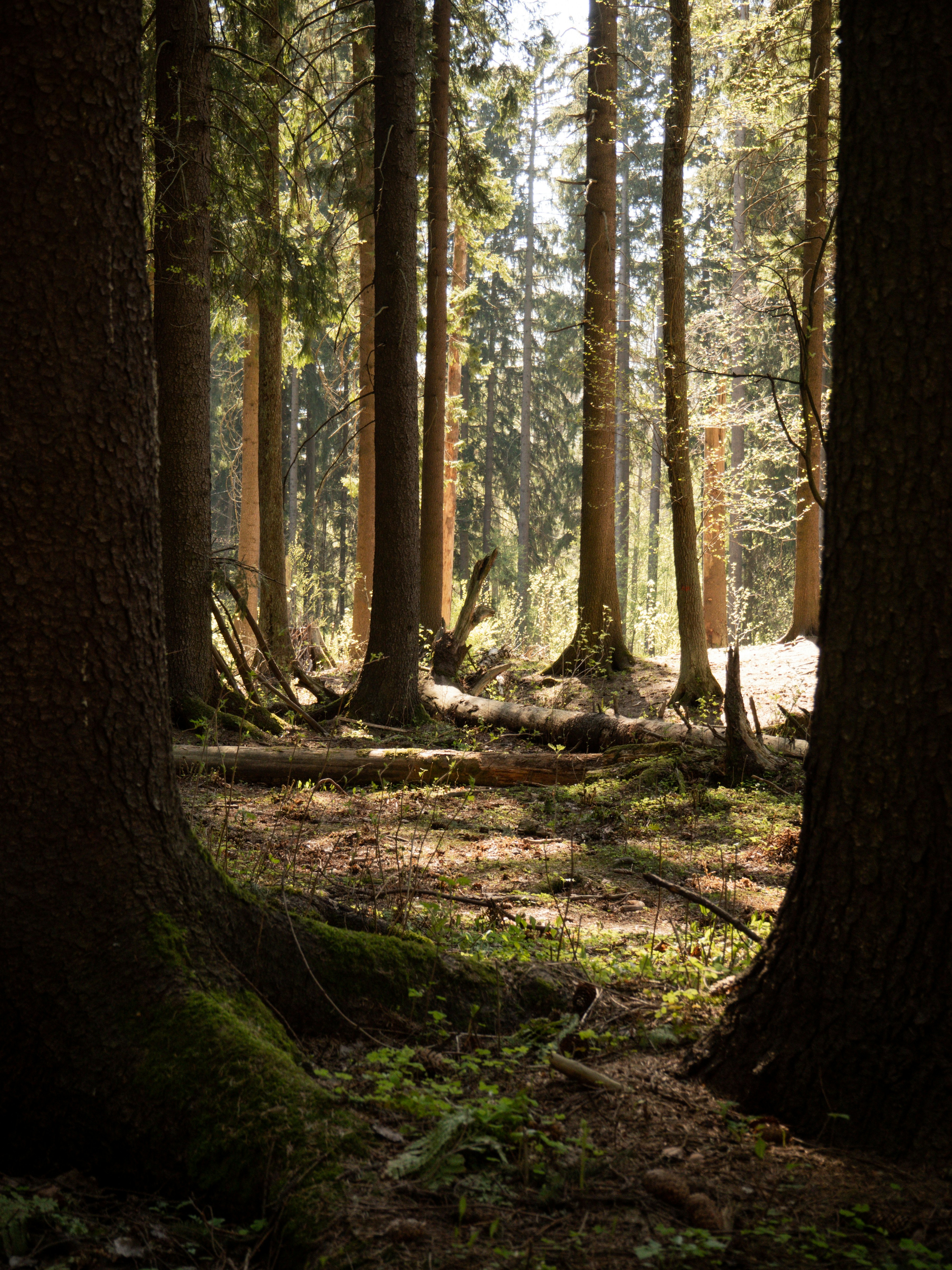 Photo by janifreelancing