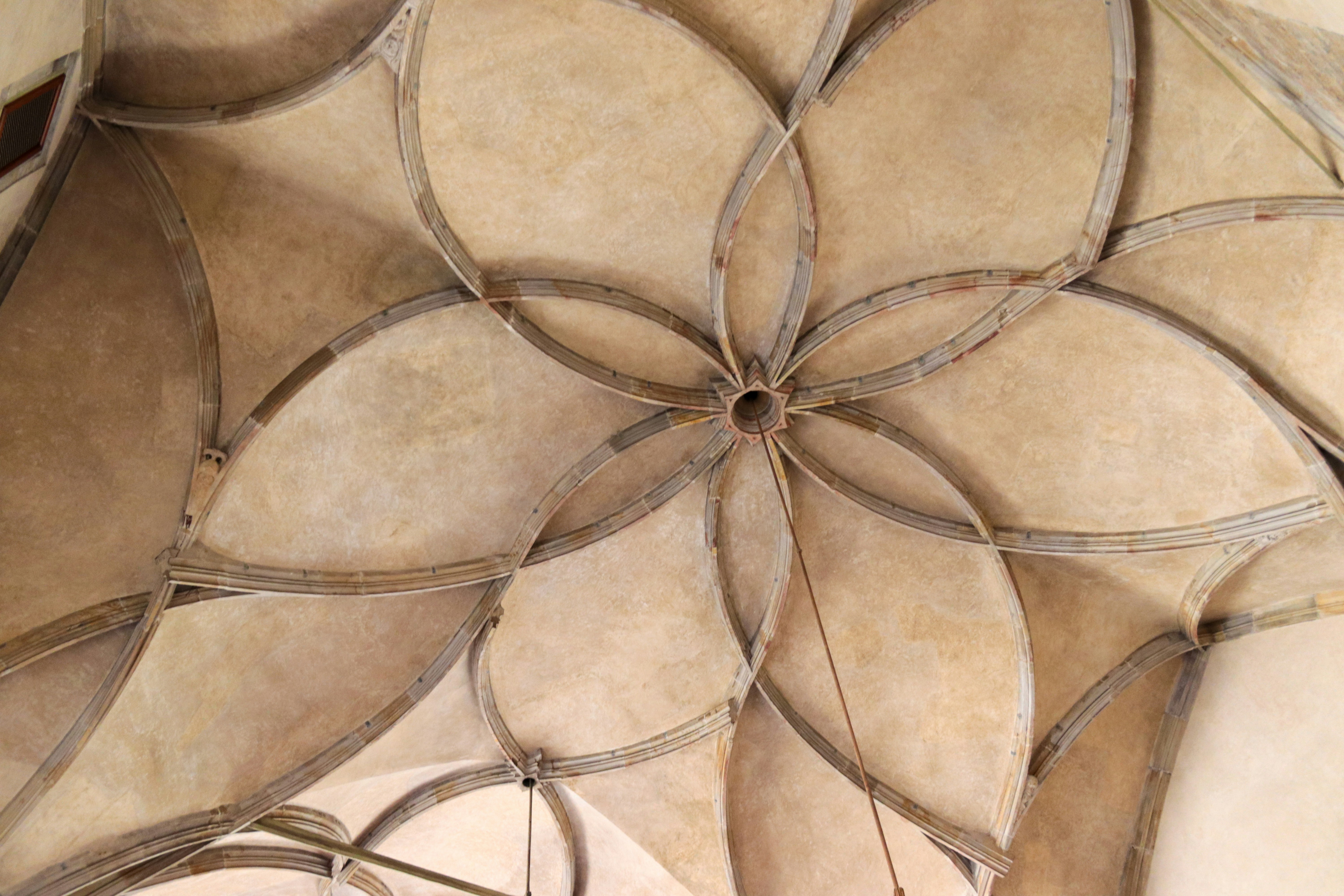 Photo by gabianspirit