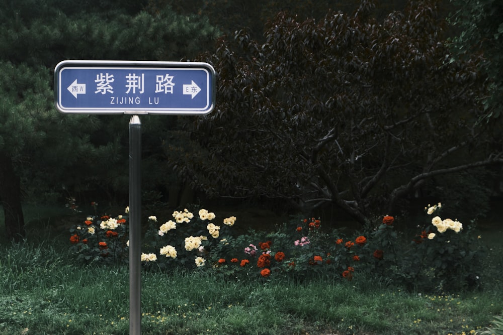 a blue street sign sitting on the side of a road