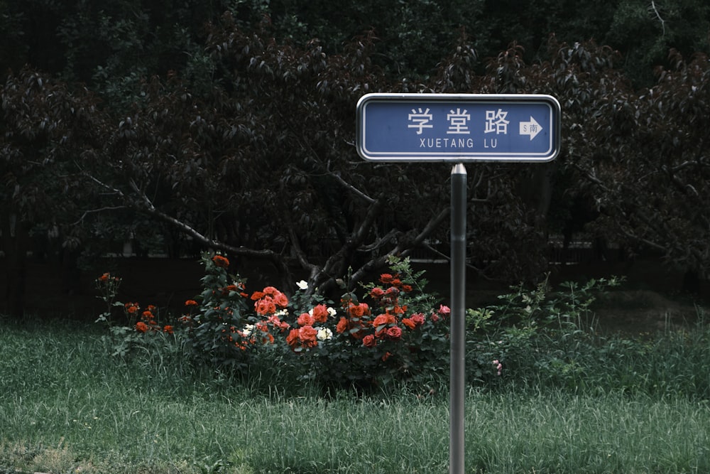 a blue street sign sitting on the side of a lush green field