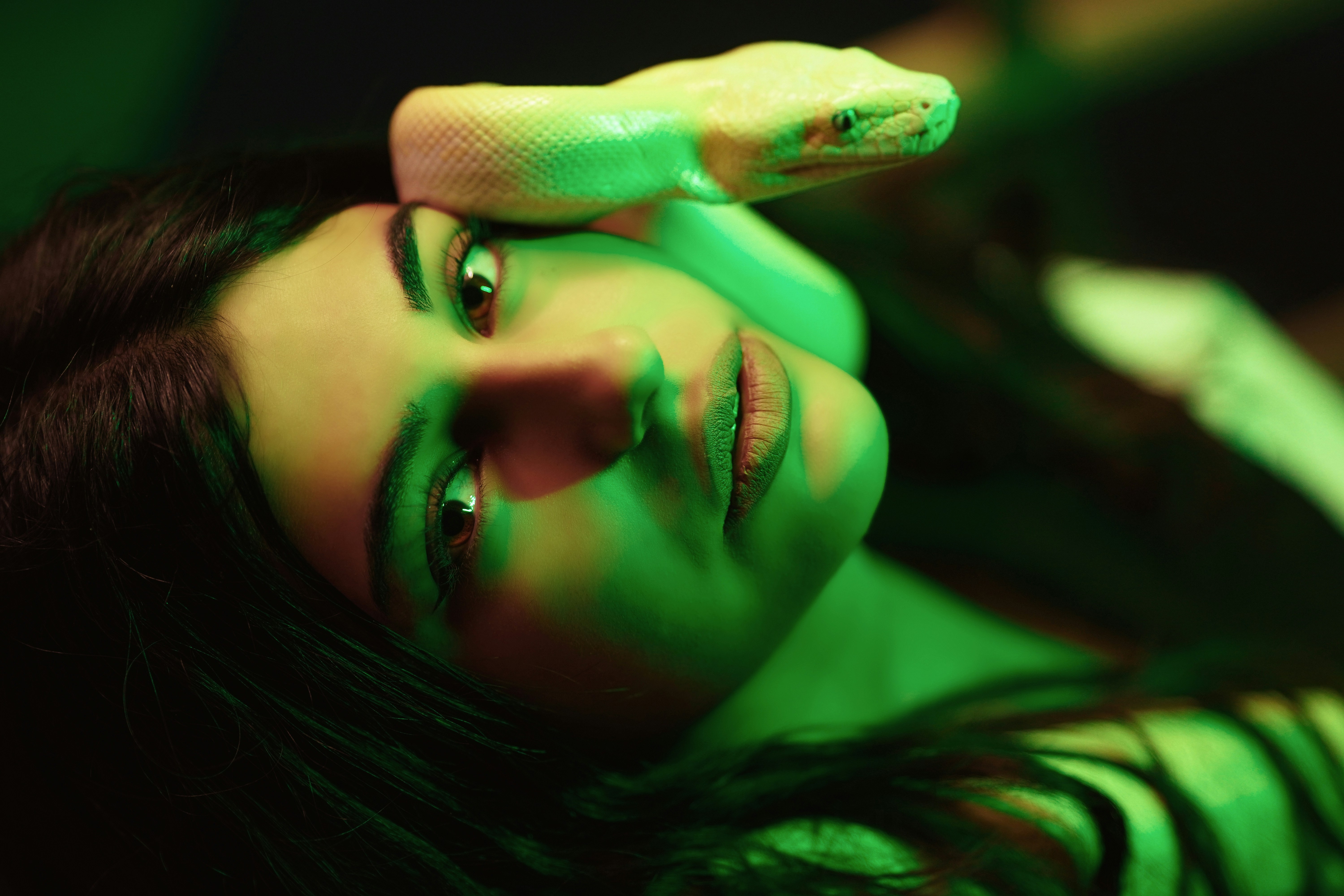 Photo by lhonkarwanhamasalih