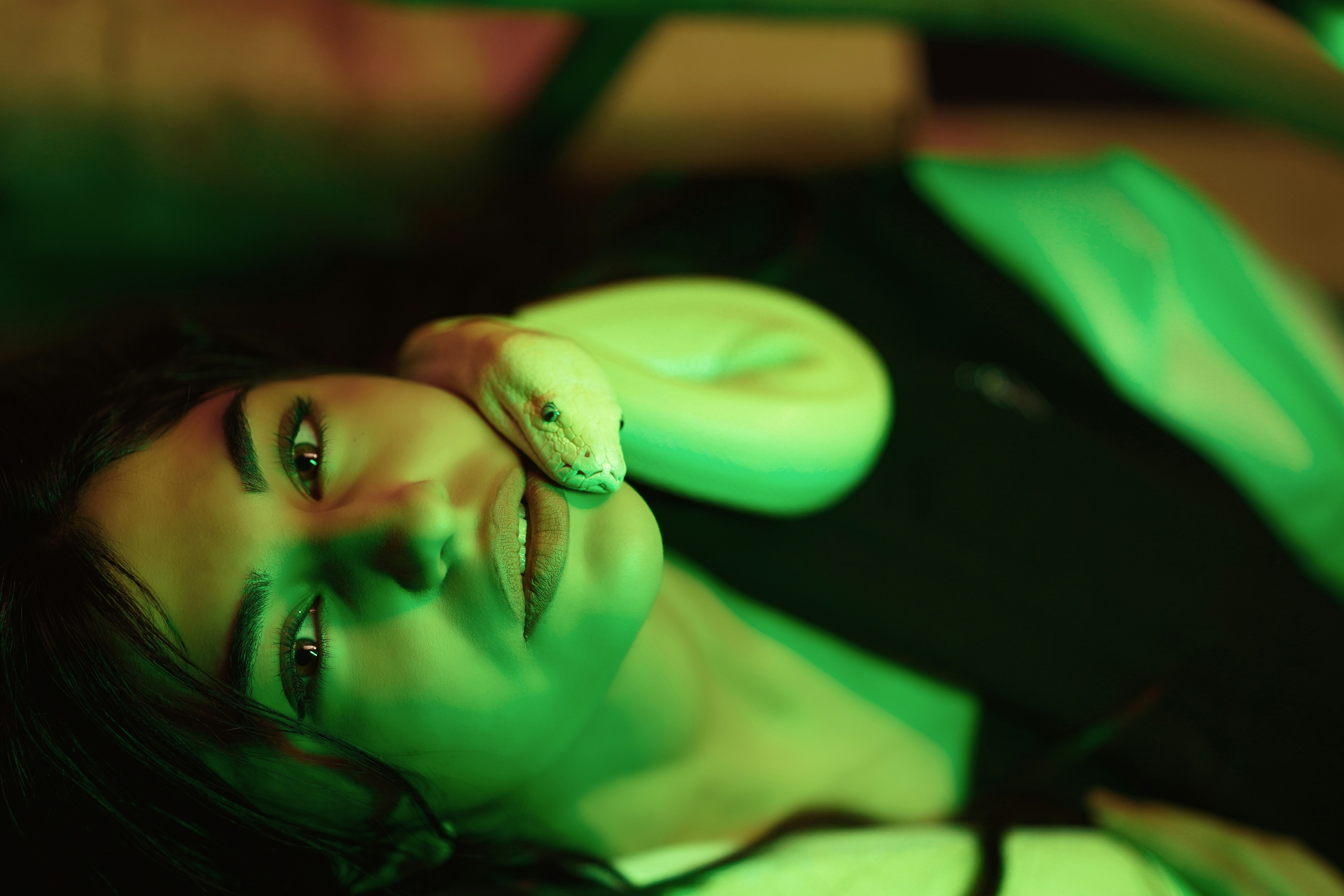 photo-1684442891387-bd147e671b46