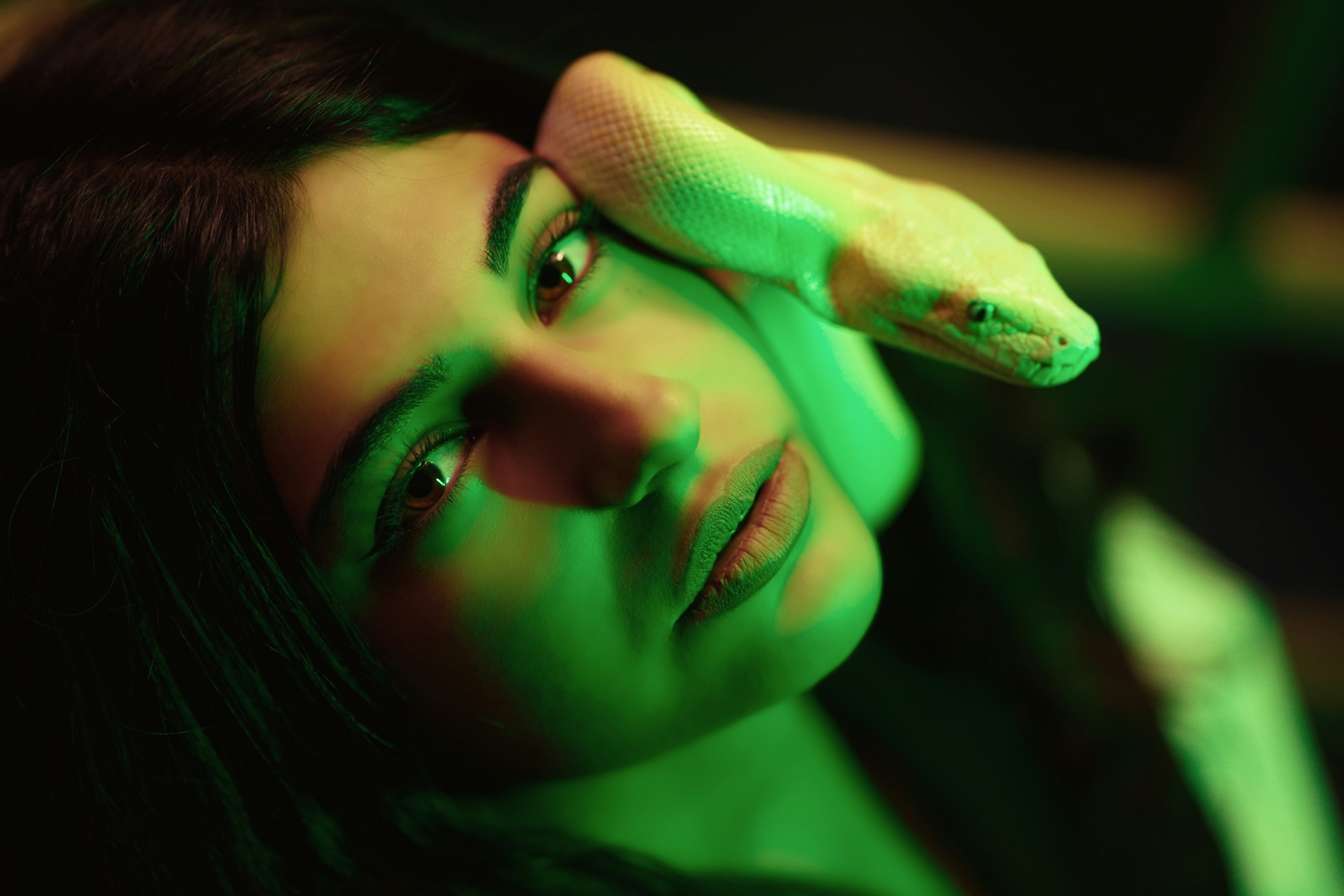 Photo by lhonkarwanhamasalih