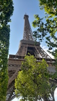 The Eiffel Tower framed by lush green trees under a clear blue sky.
