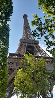The Eiffel Tower framed by lush green trees under a clear blue sky.