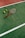 A tennis racket with a brown handle and three yellow tennis balls are positioned on a green tennis court, marked with white lines. The surface of the court has a slightly worn texture, indicating usage.