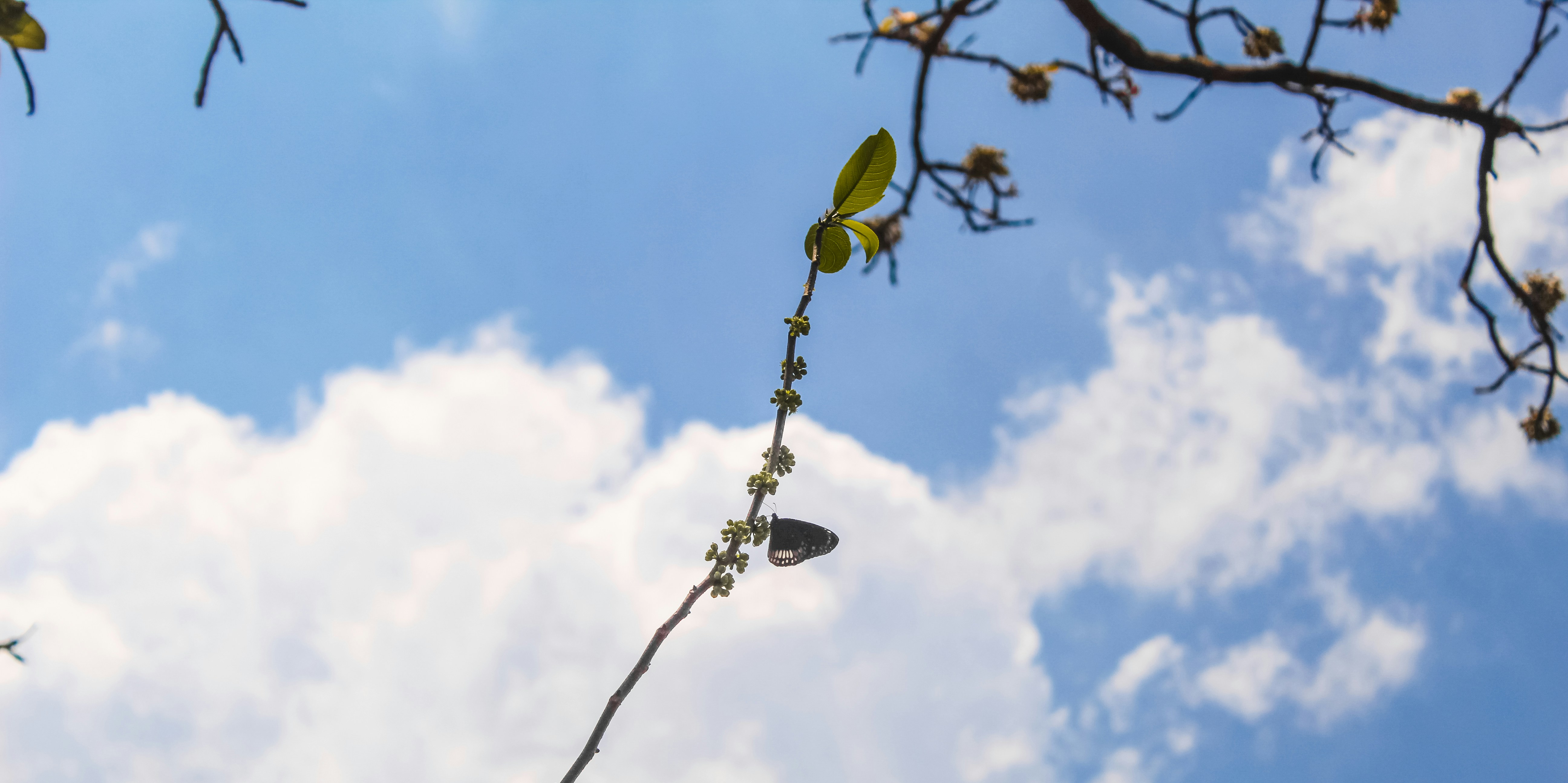 Photo by _odishawalaa___