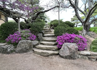 Stone steps lead upward through a lush garden, flanked by vibrant purple flowers and green shrubs. Mature trees with sprawling branches create a natural canopy over the path.