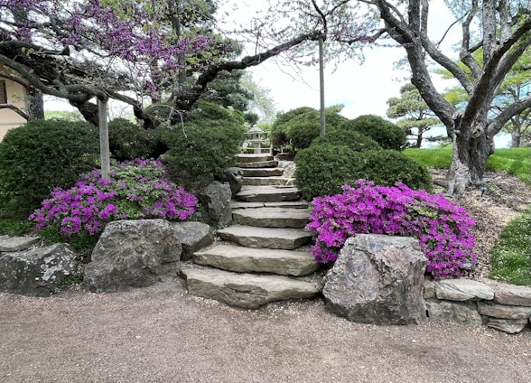 Stone steps lead upward through a lush garden, flanked by vibrant purple flowers and green shrubs. Mature trees with sprawling branches create a natural canopy over the path.