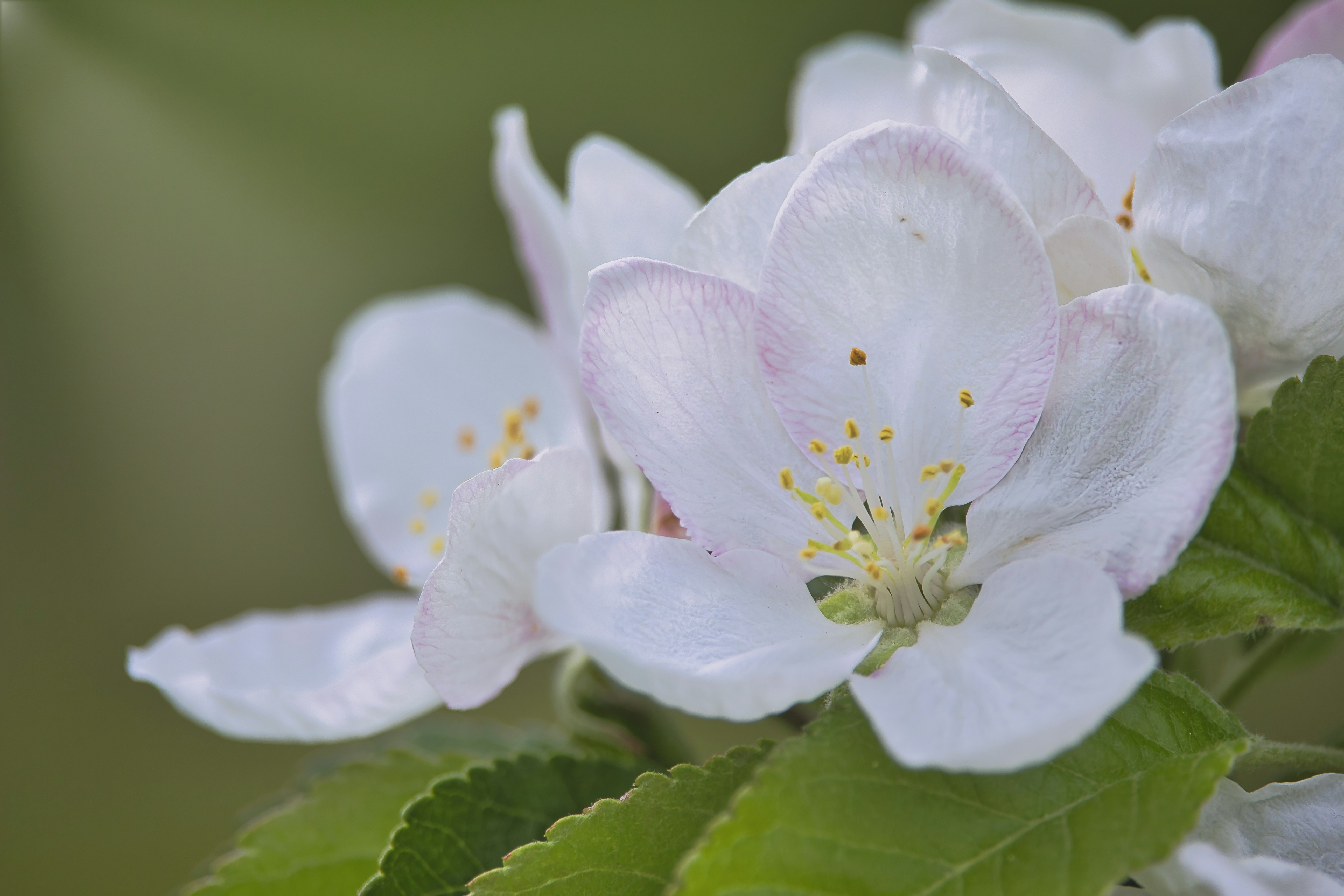 Photo by rogergranquist