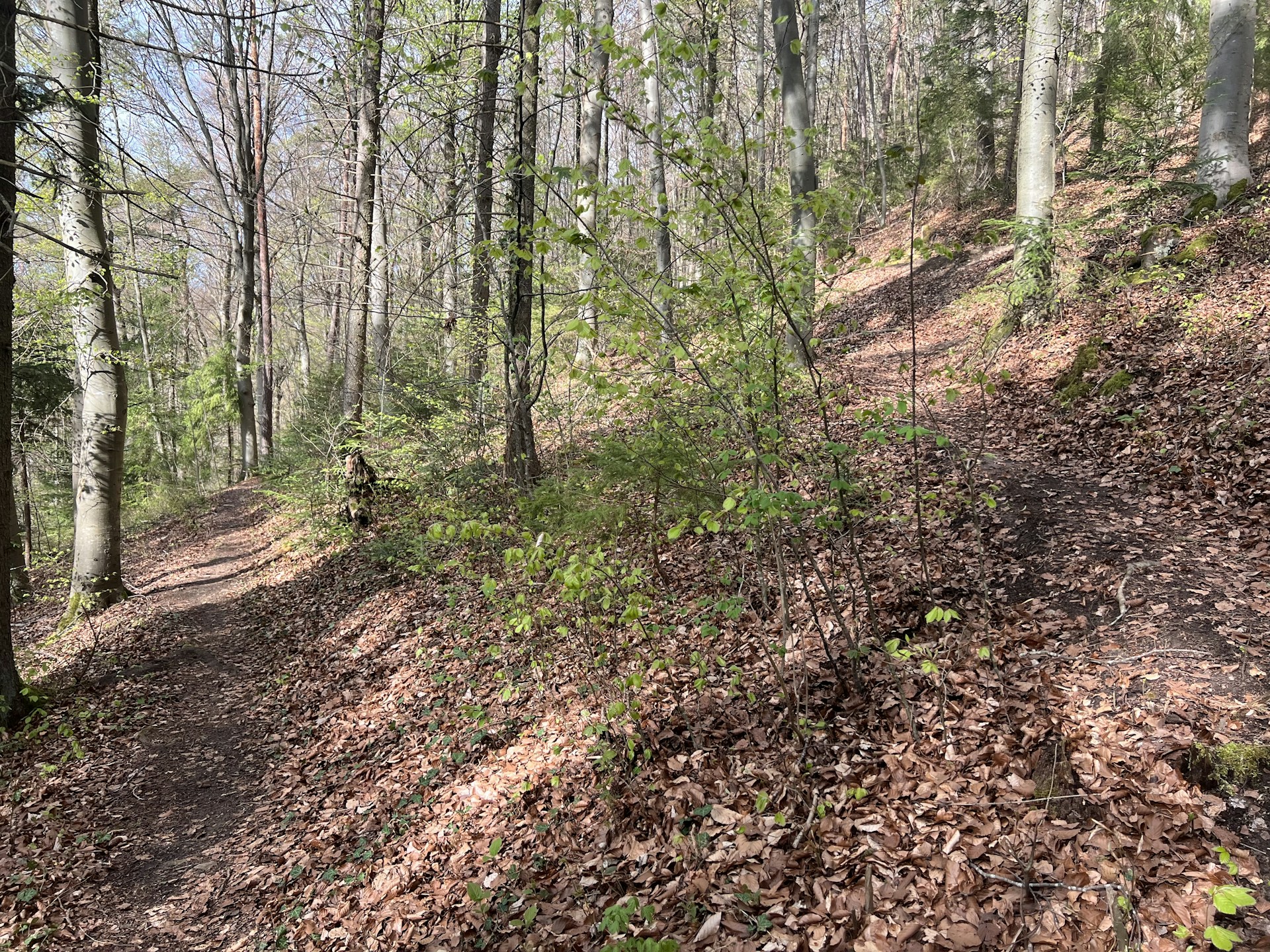 gray computer monitor