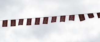 A series of red flags with white text and logos hang on a line against a cloudy sky. Each flag features a circular emblem and the same text printed on it.