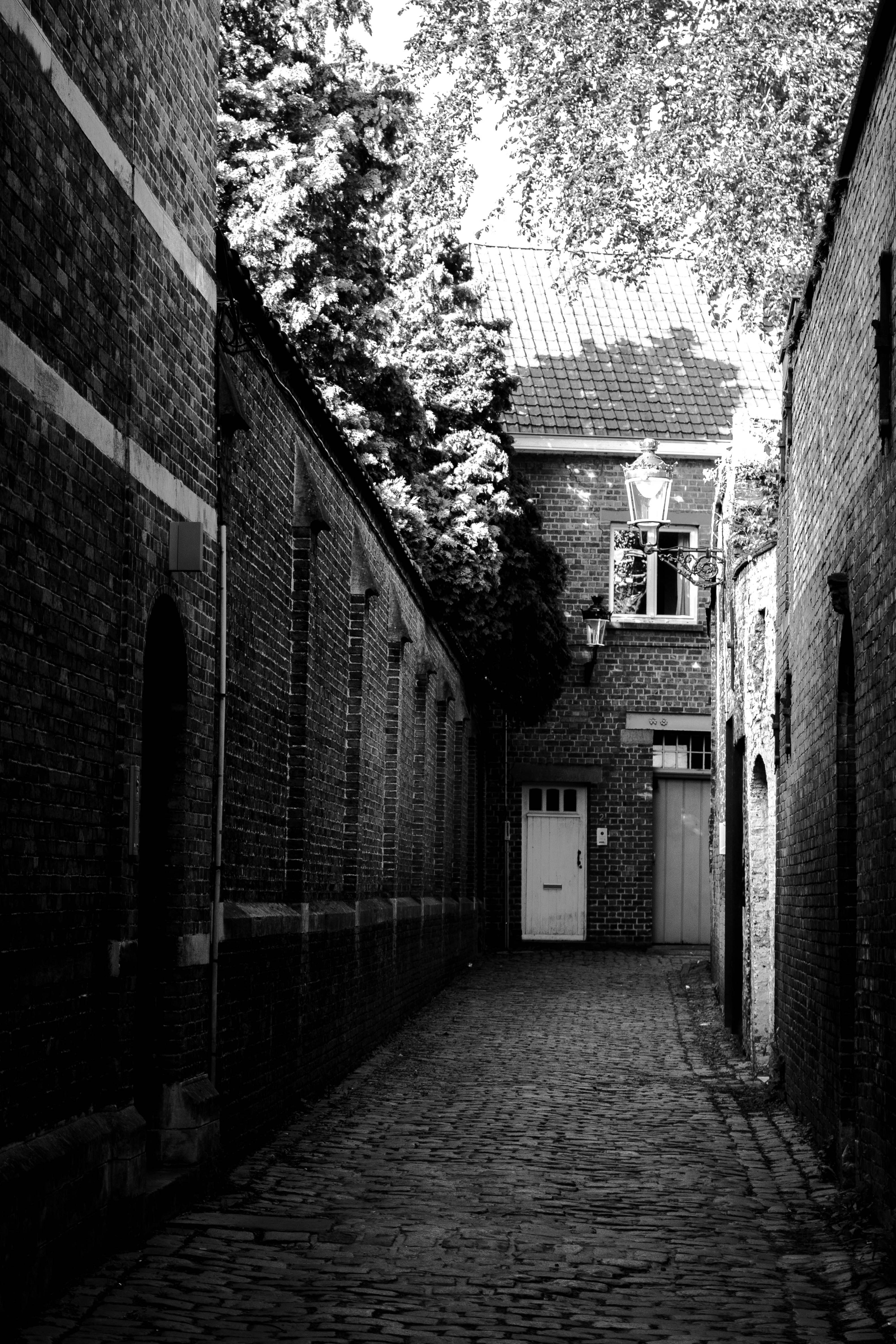 Photo by kamillaisalieva