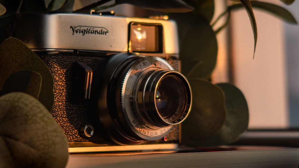 a camera sitting on top of a table next to a plant