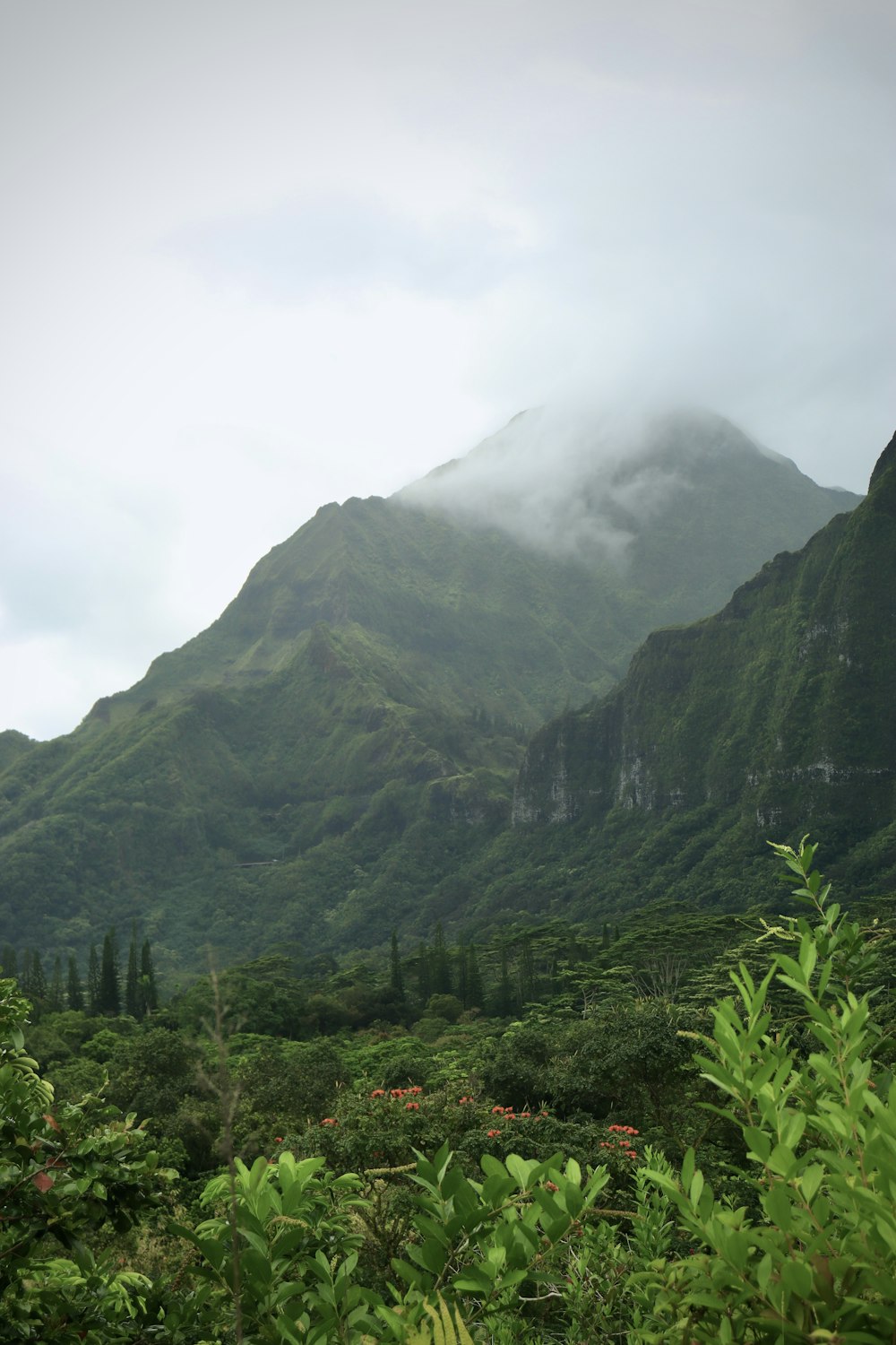 a lush green mountain with a low cloud in the sky