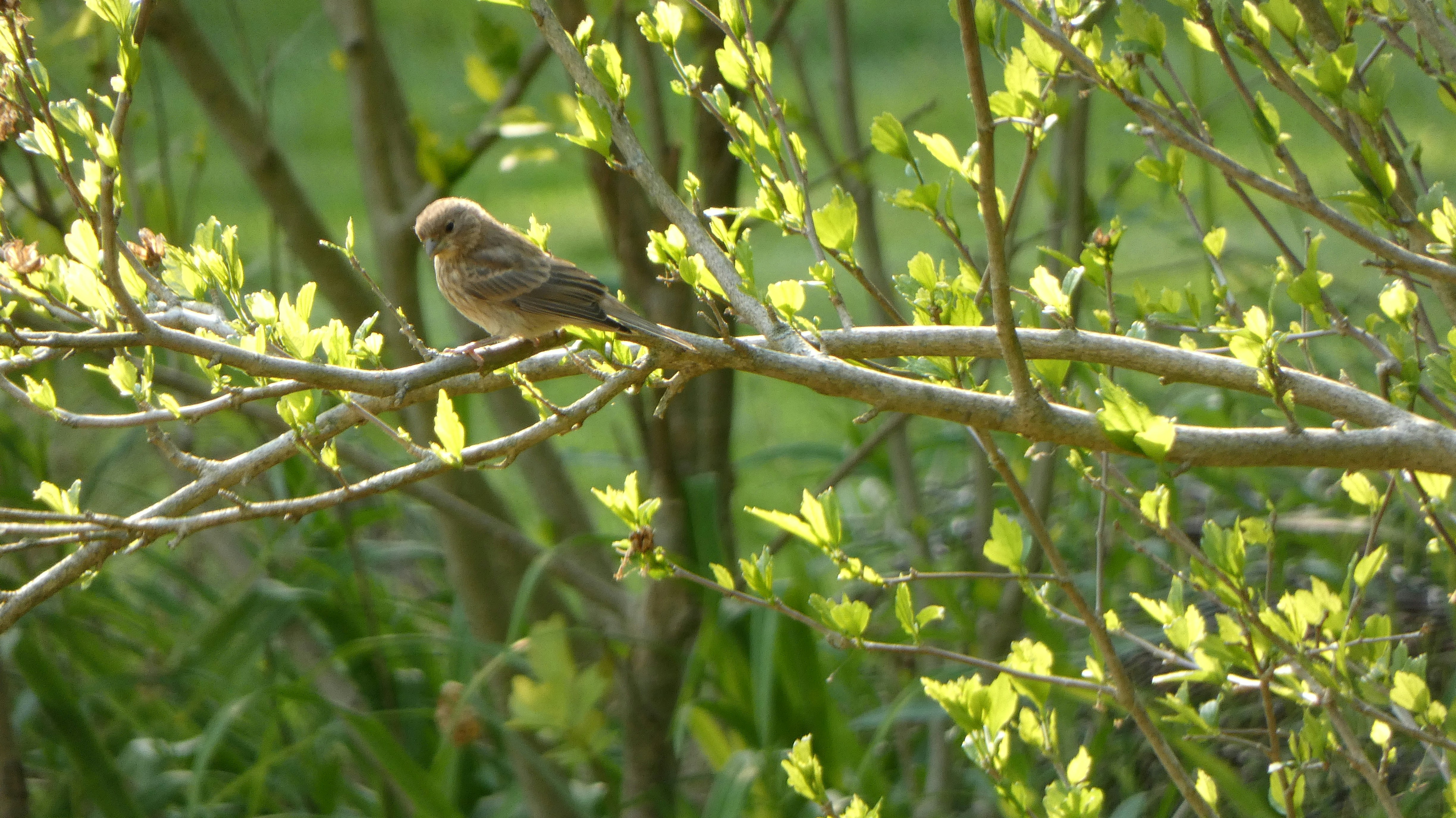 Photo by kimberlymeans