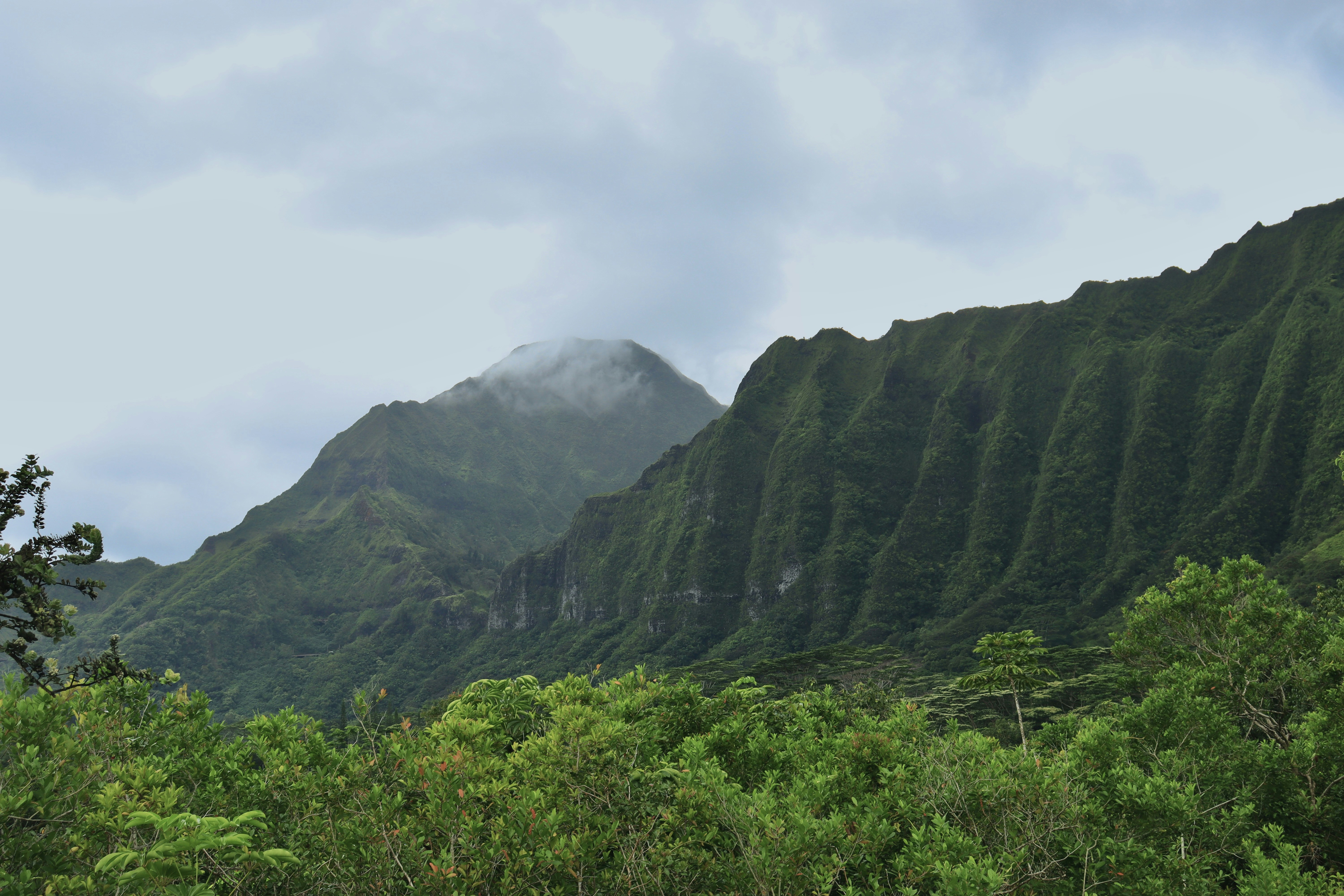 Photo by josh3rsmith