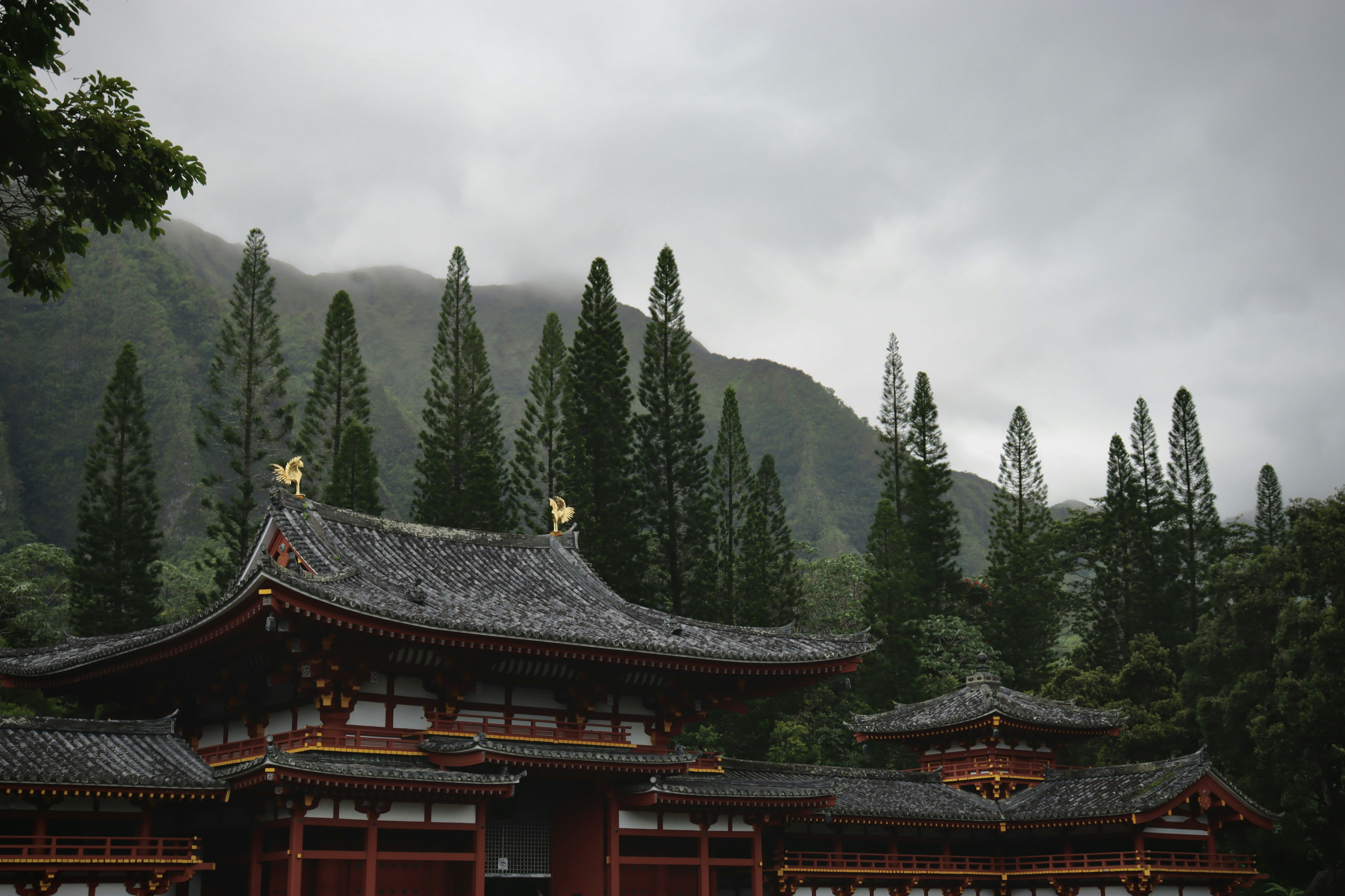 Photo by josh3rsmith