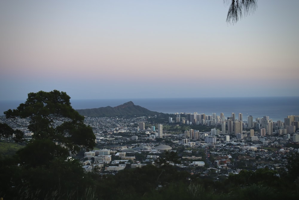 a view of a city with a mountain in the background