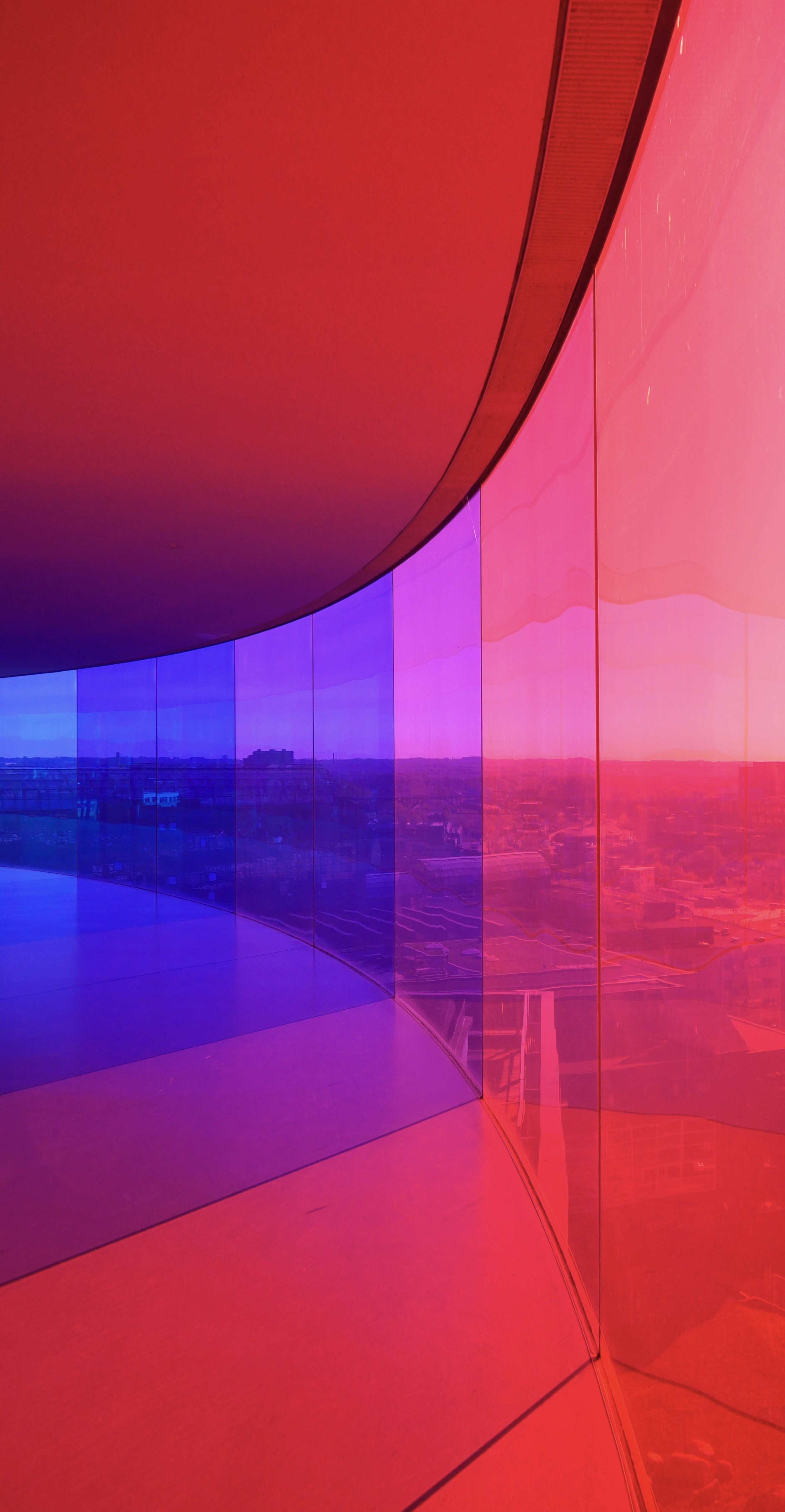 海外落地现金贷业务，追觅又能「多收三五斗」？