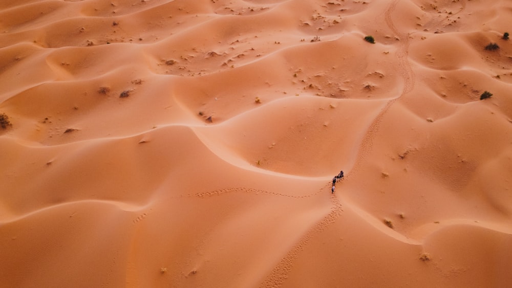 eine person, die mitten in einer wüste steht