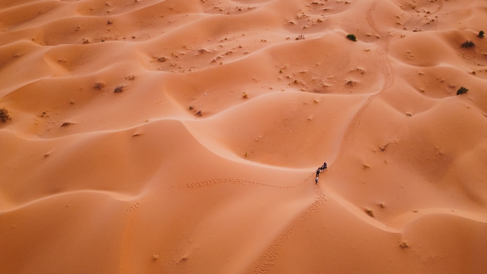 a person standing in the middle of a desert