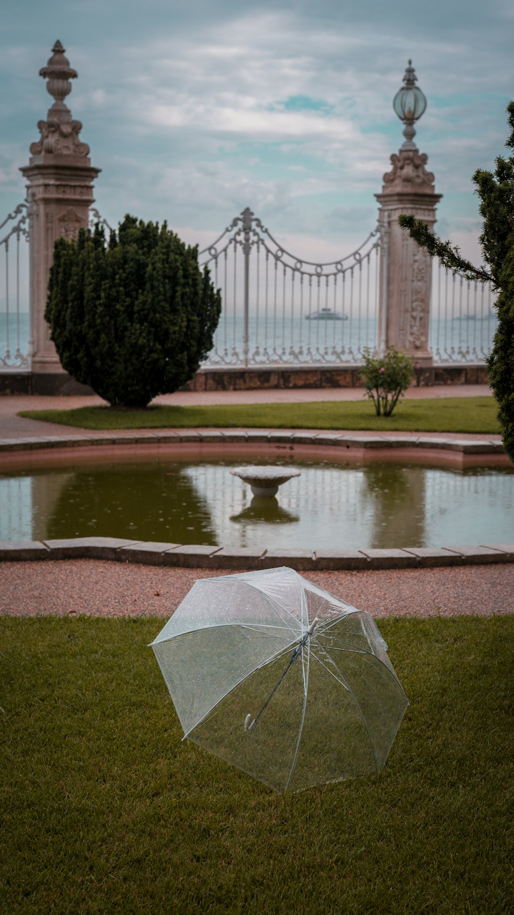 a clear umbrella sitting in the grass near a pond