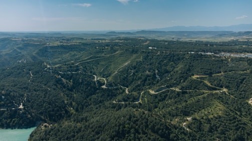 Aerial view of lush green plots with winding roads under a clear blue sky.