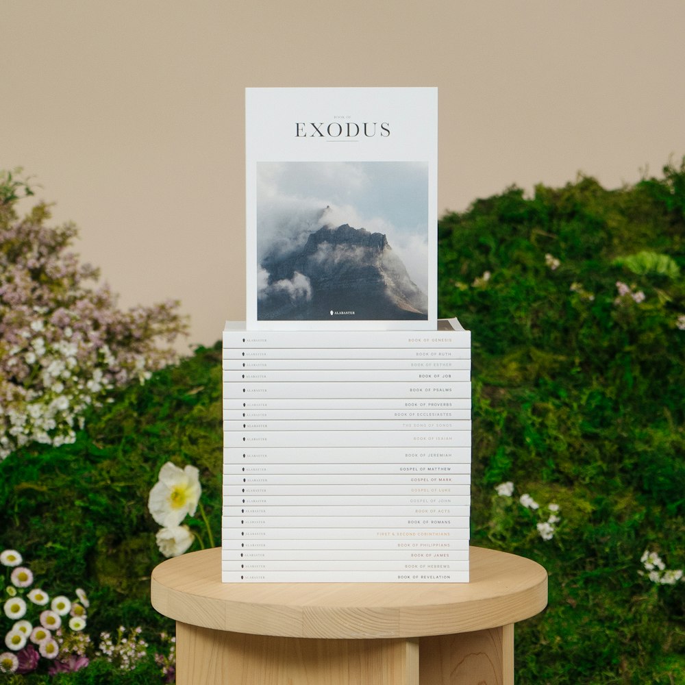 a stack of books sitting on top of a wooden table