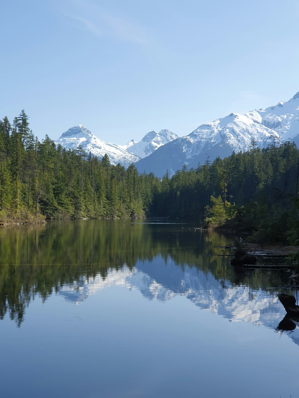 um lago cercado por árvores e montanhas cobertas de neve