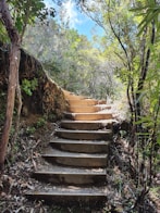 a set of stone steps in the woods
