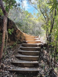 a set of stone steps in the woods