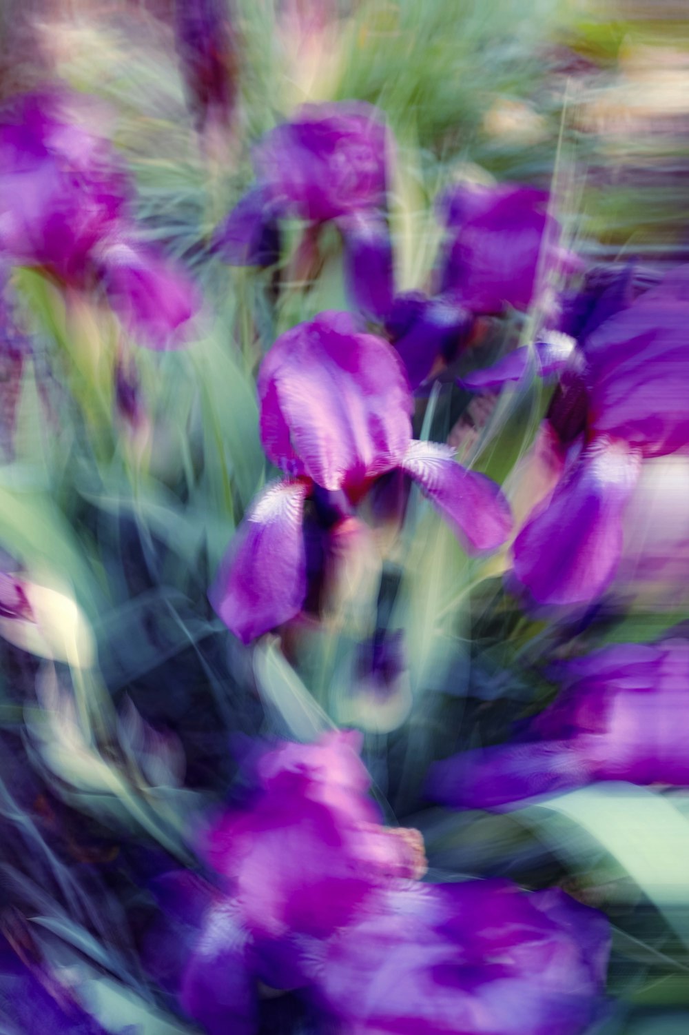 a blurry photo of purple flowers in a vase