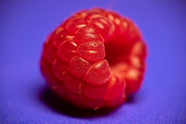 a close up of a raspberry on a blue background