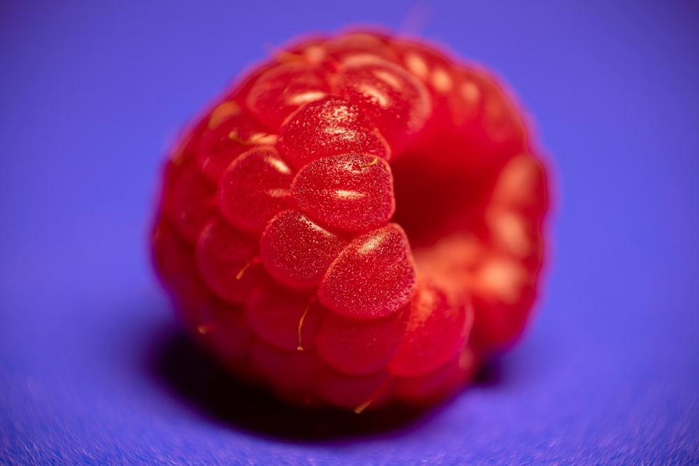 a close up of a raspberry on a blue background