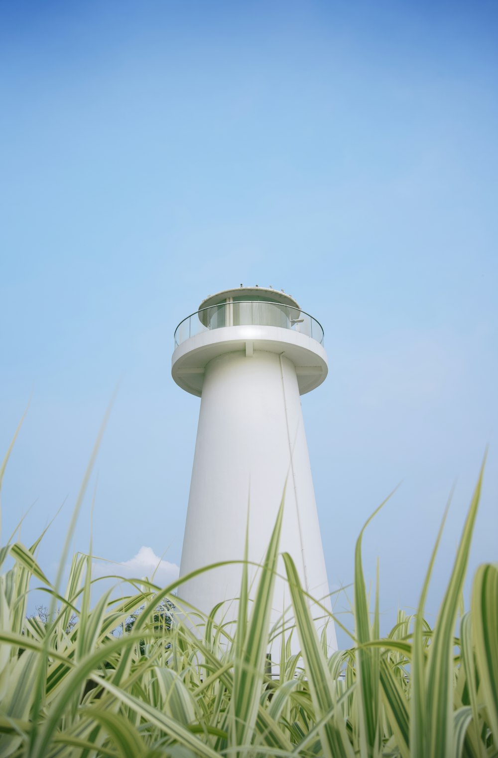 a white light house surrounded by tall grass