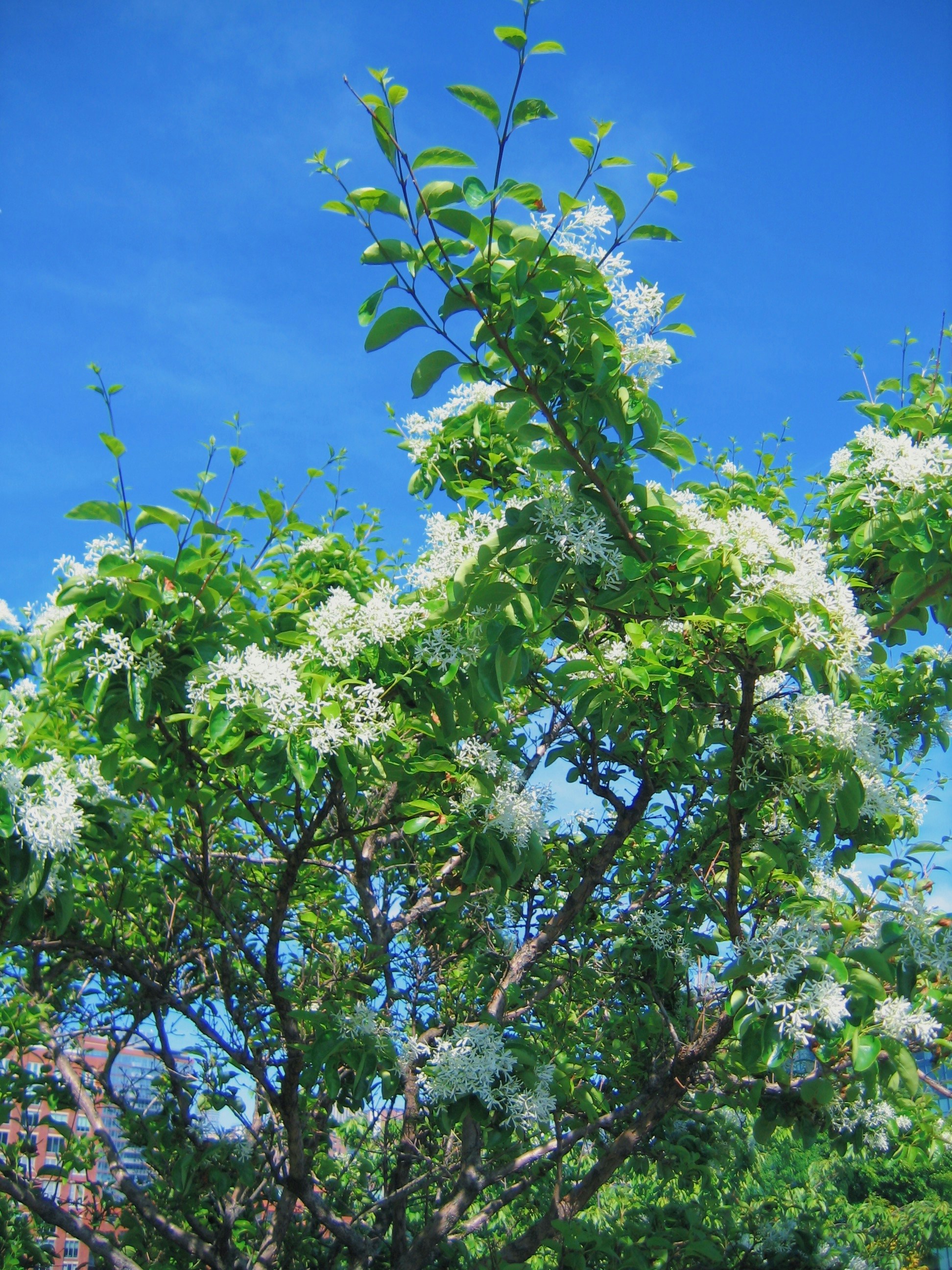 Photo by vivianliang