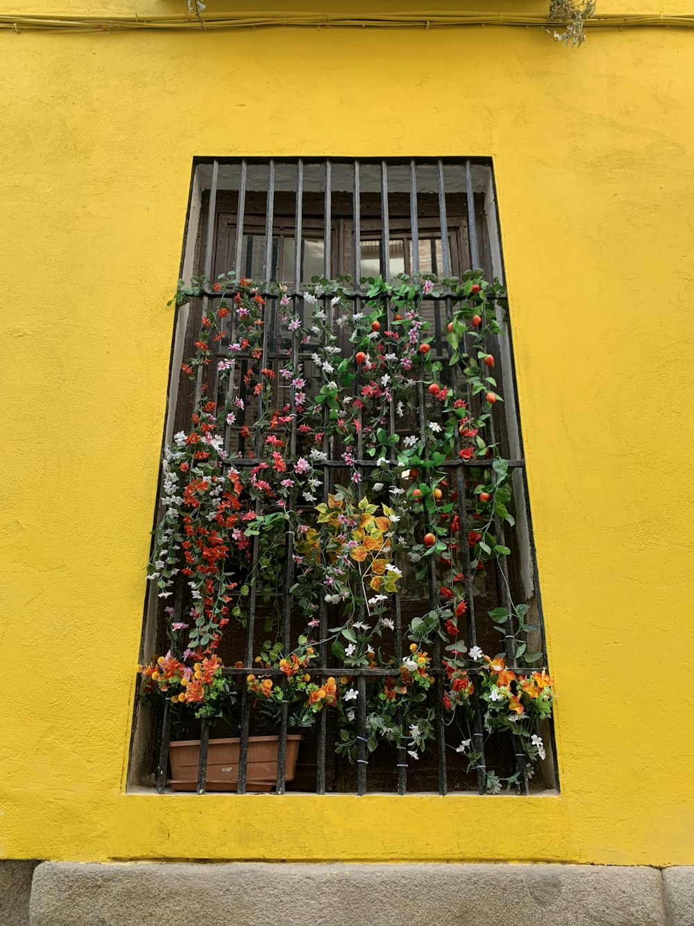a window with a bunch of flowers on it