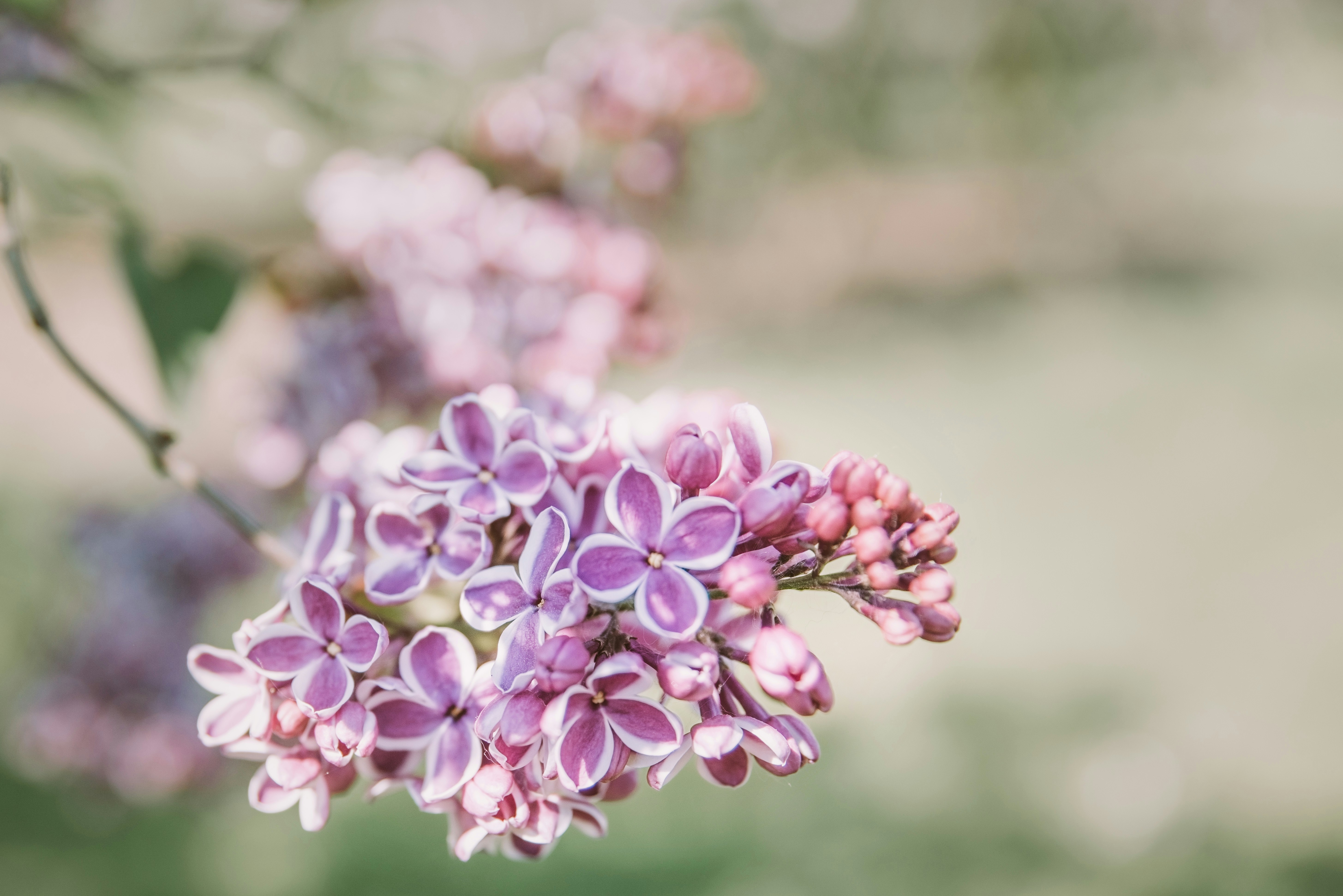 Photo by anitaaustvika