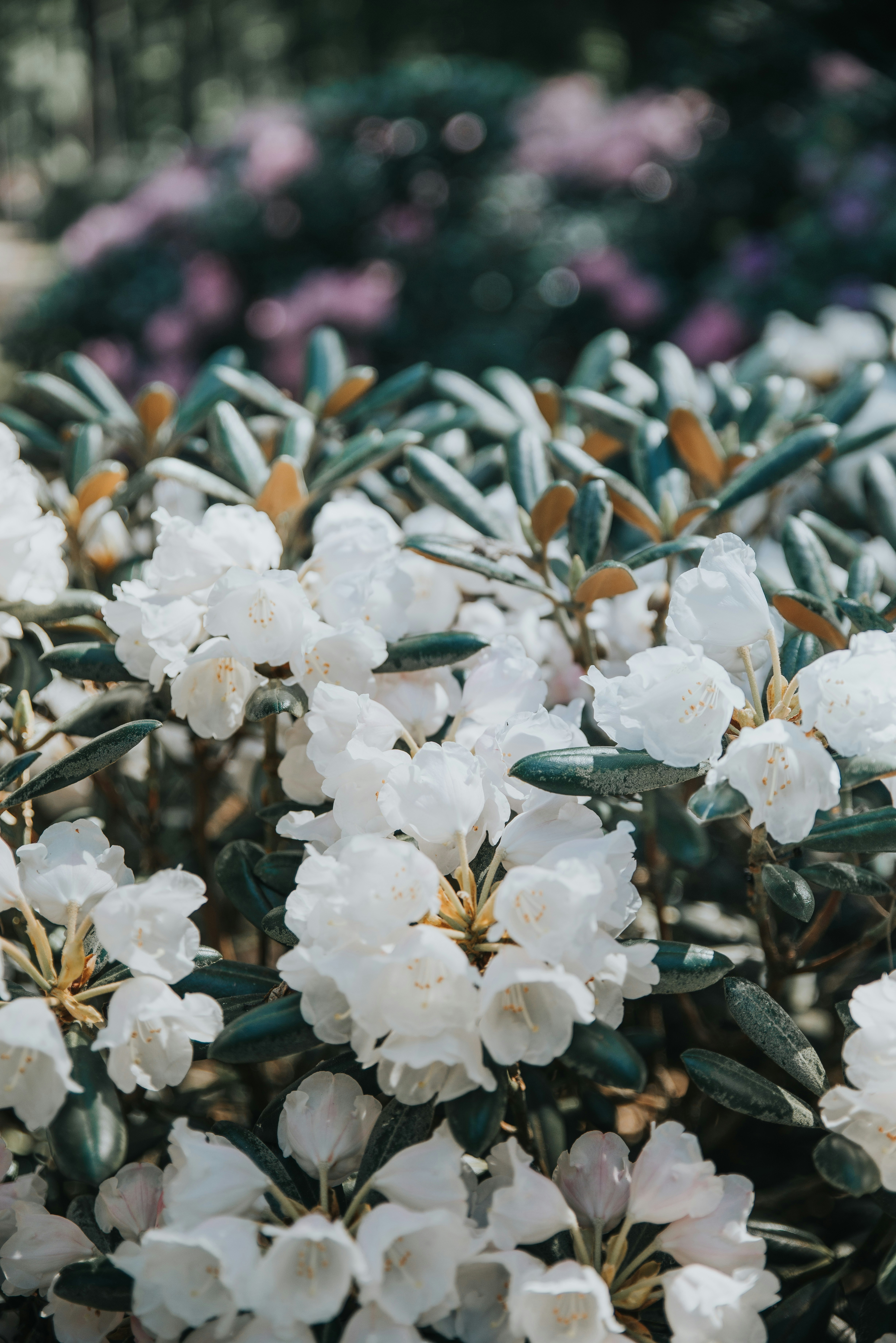 Photo by anitaaustvika