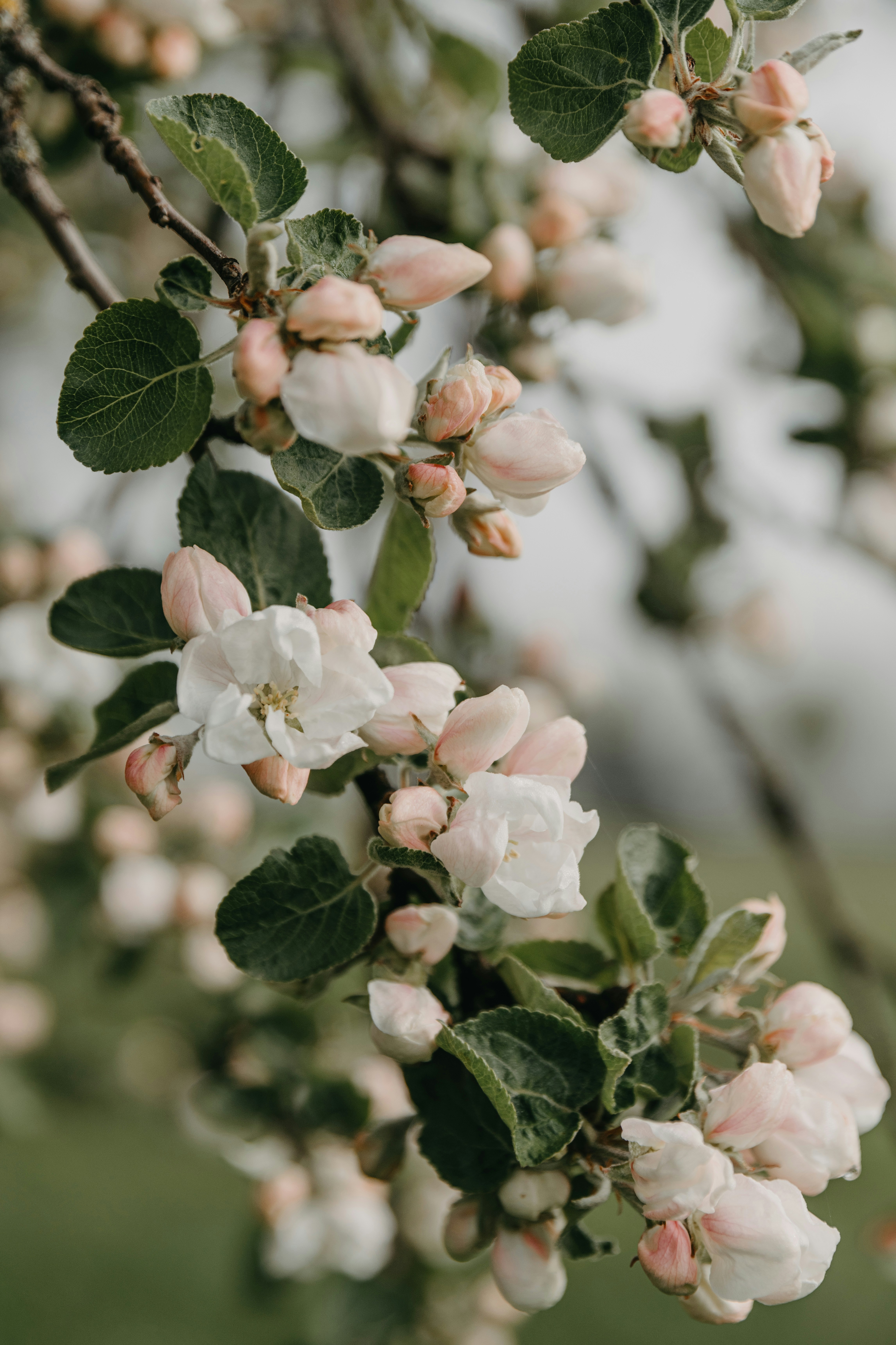 Photo by anitaaustvika