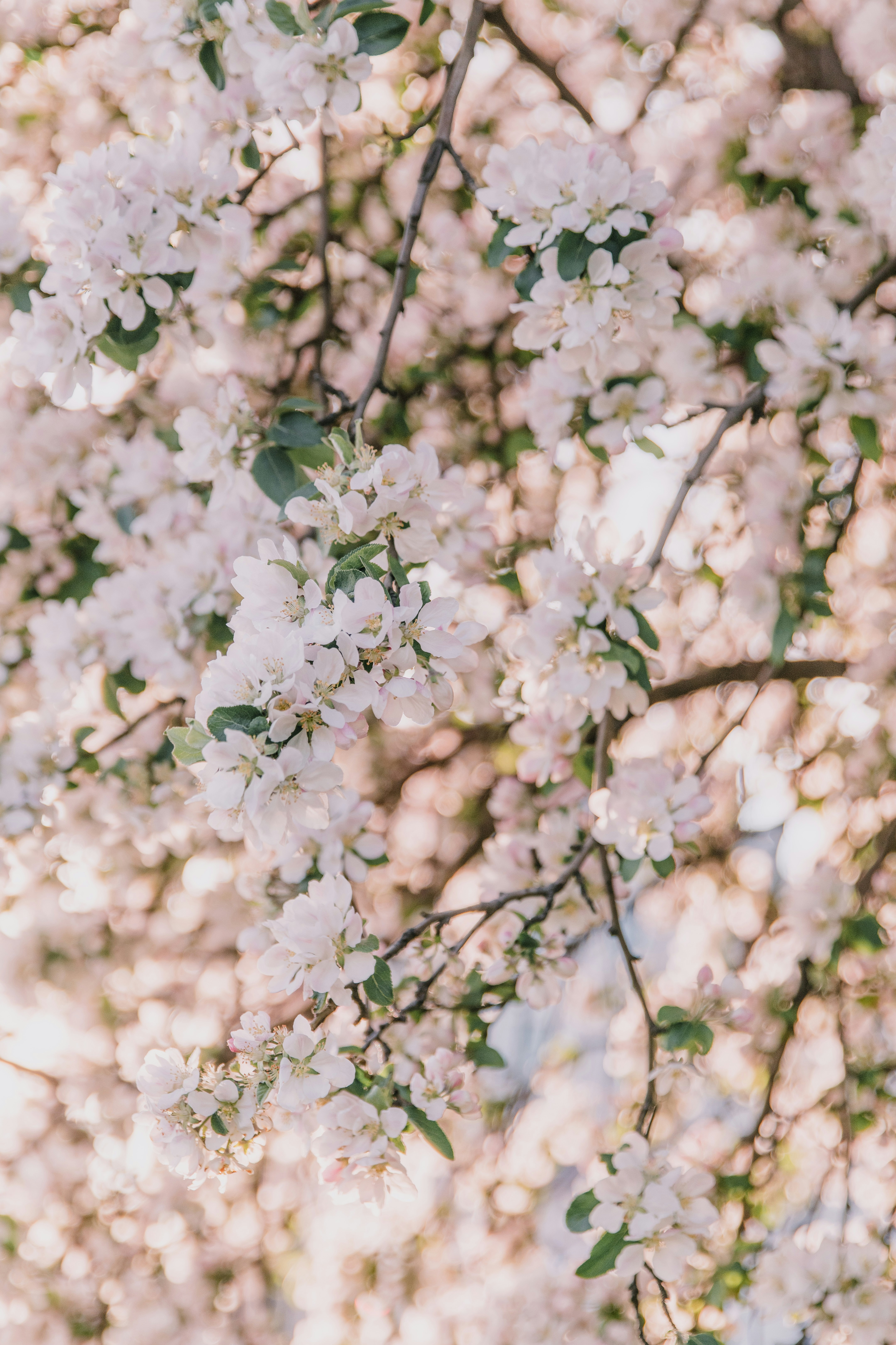 Photo by anitaaustvika