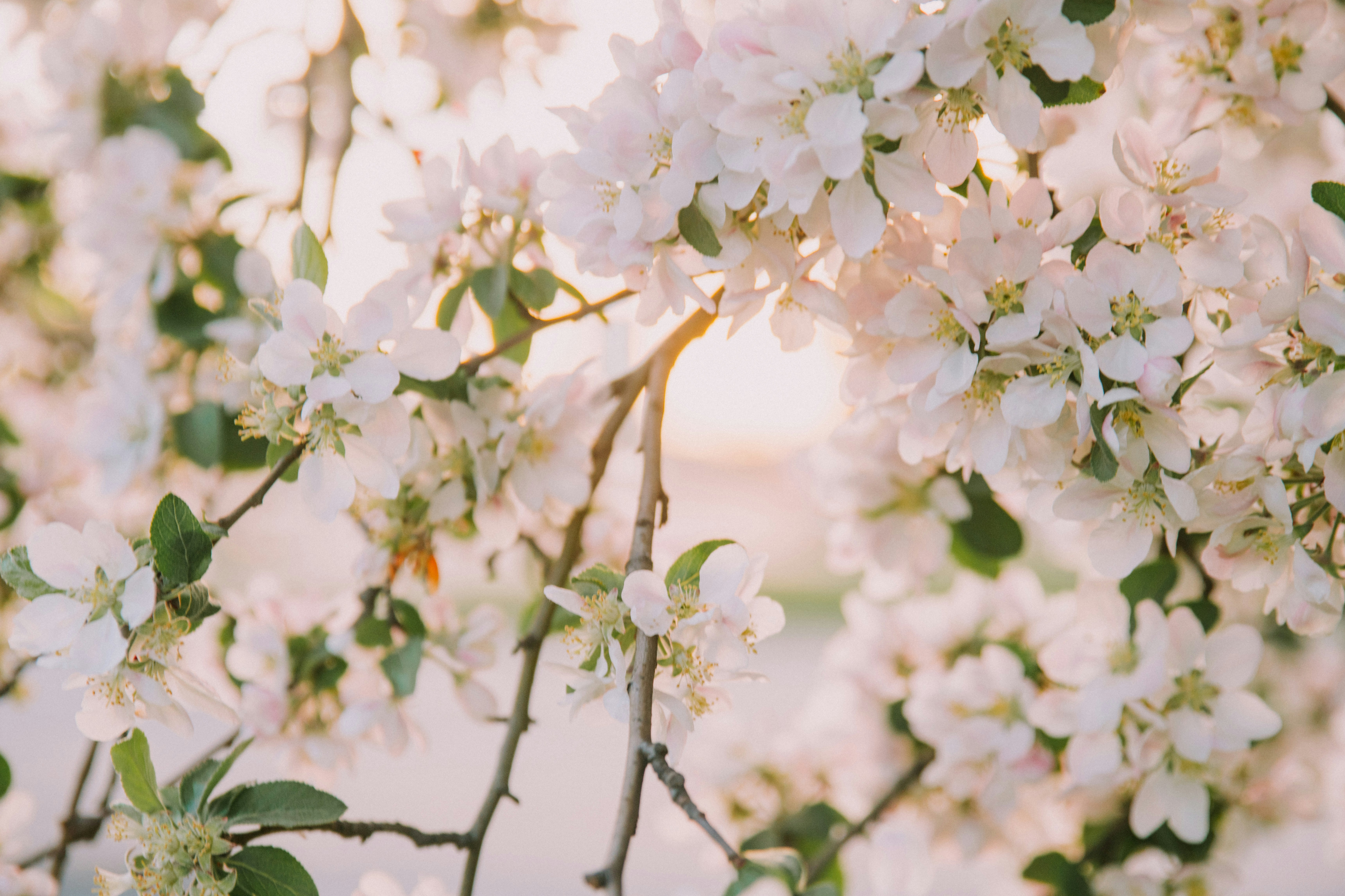 Photo by anitaaustvika