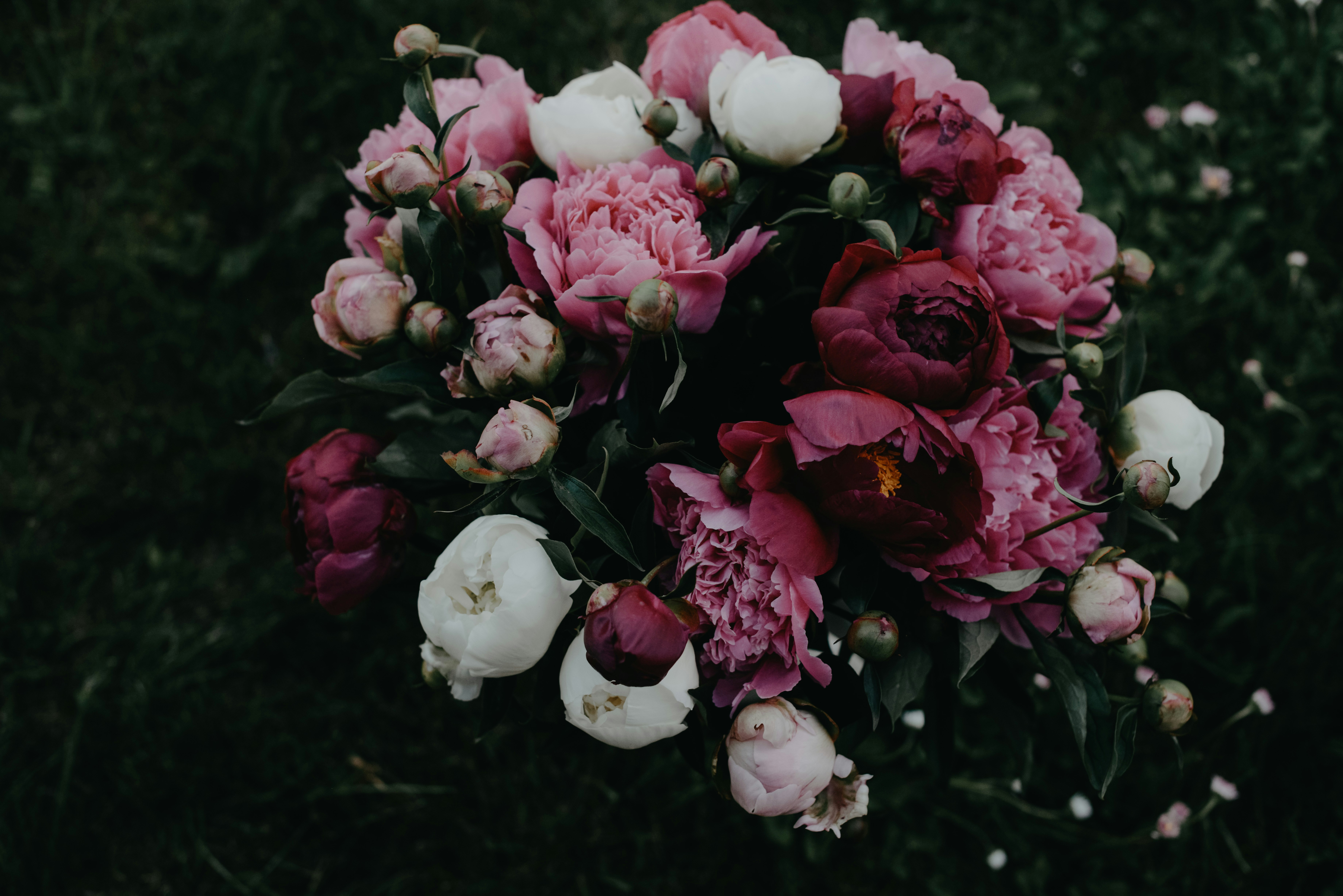 Photo by anitaaustvika