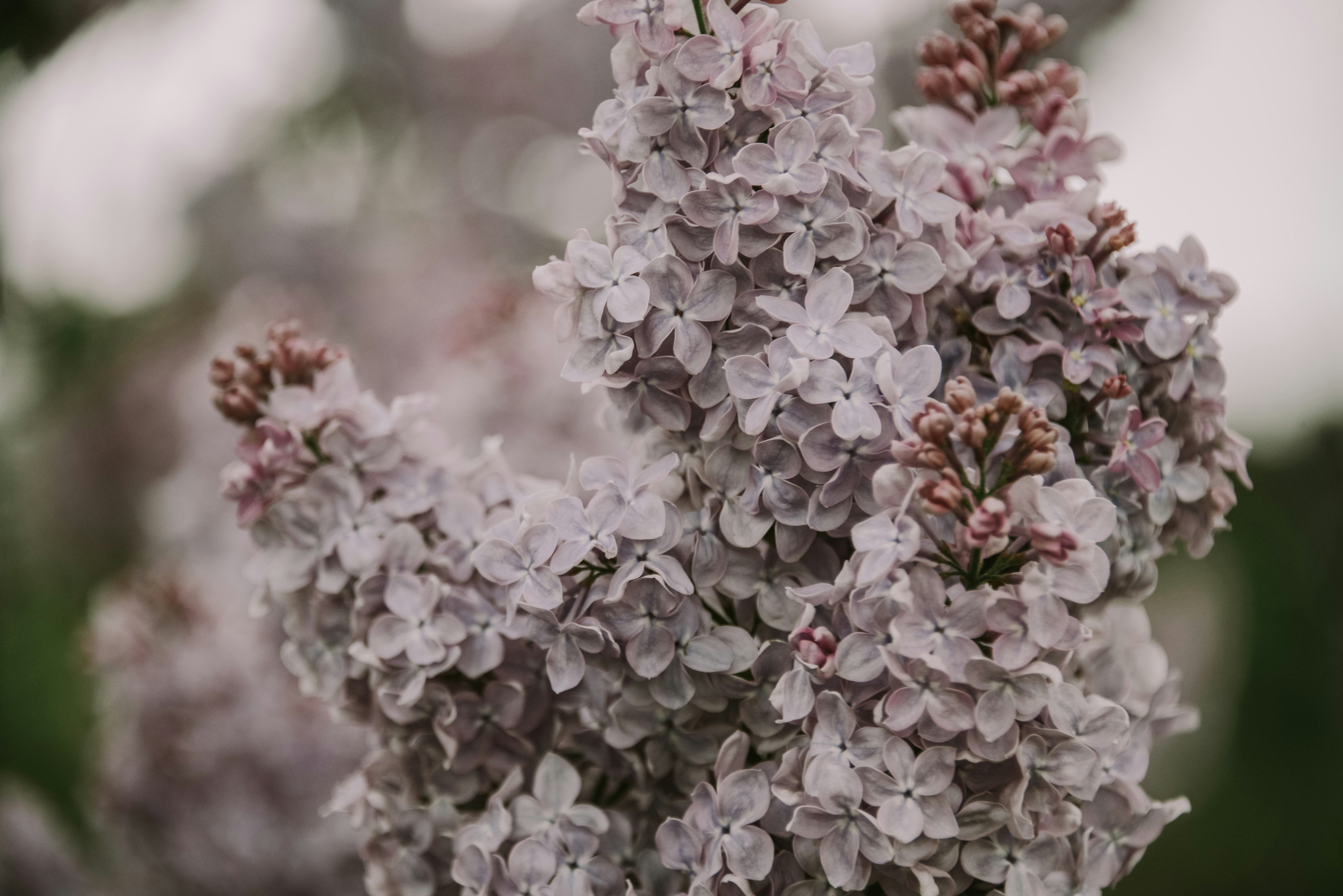 Photo by anitaaustvika