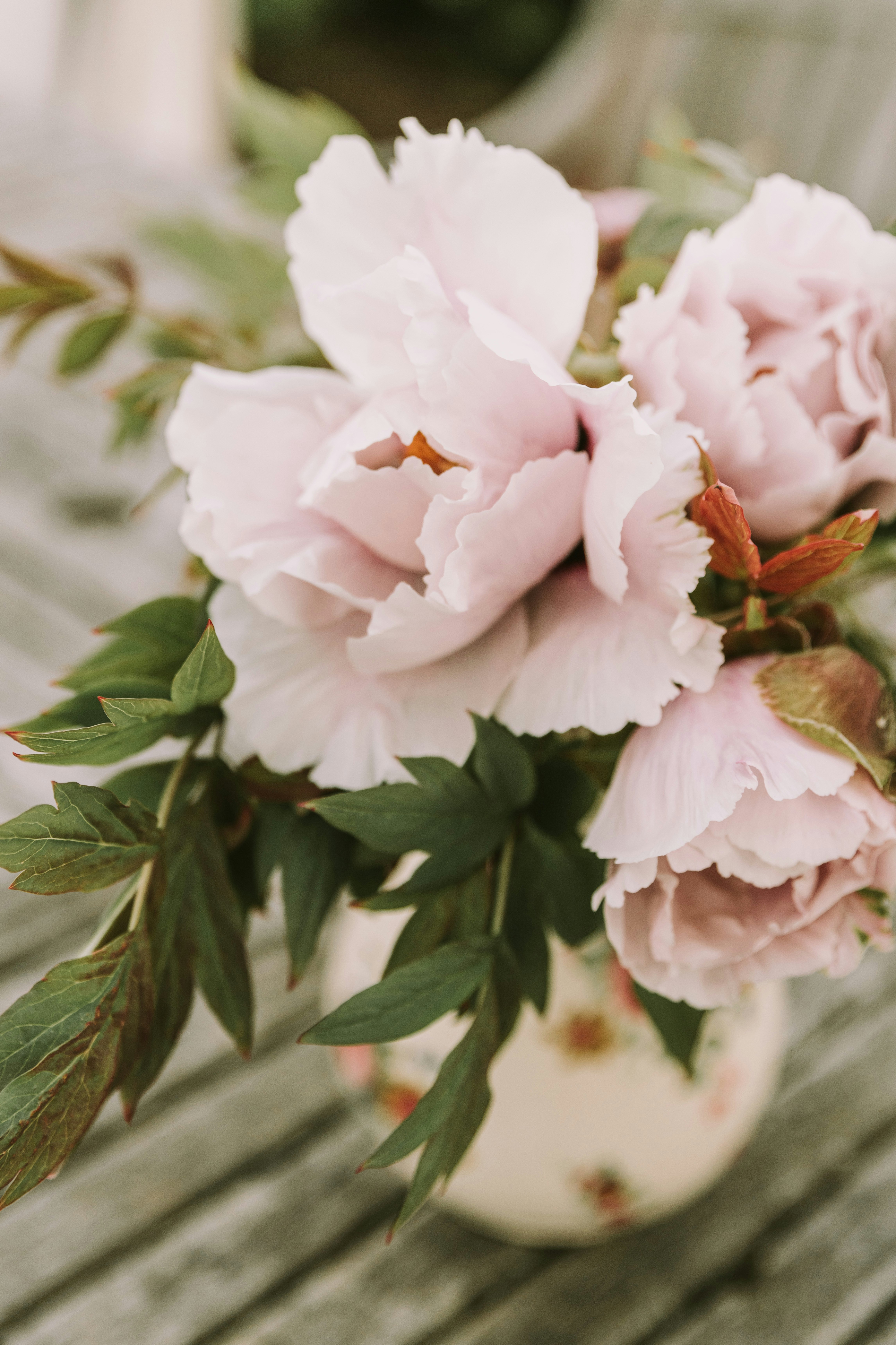 Photo by anitaaustvika